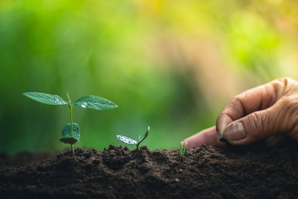 Brightseed raises $27 million for phytonutrient identification tech utilized in food and nutraceuticals