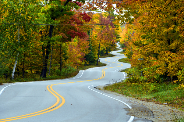 SaaS Ventures takes the financial investment road less took a trip