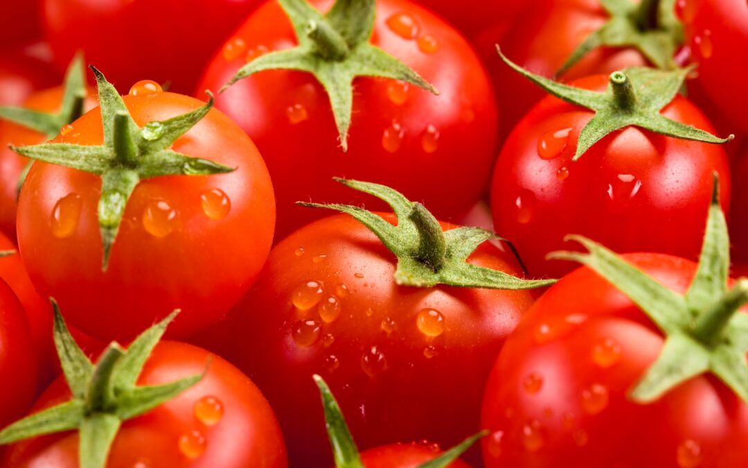 Nordetect’s system to keep an eye on soil and water for indoor farming raises seed financing