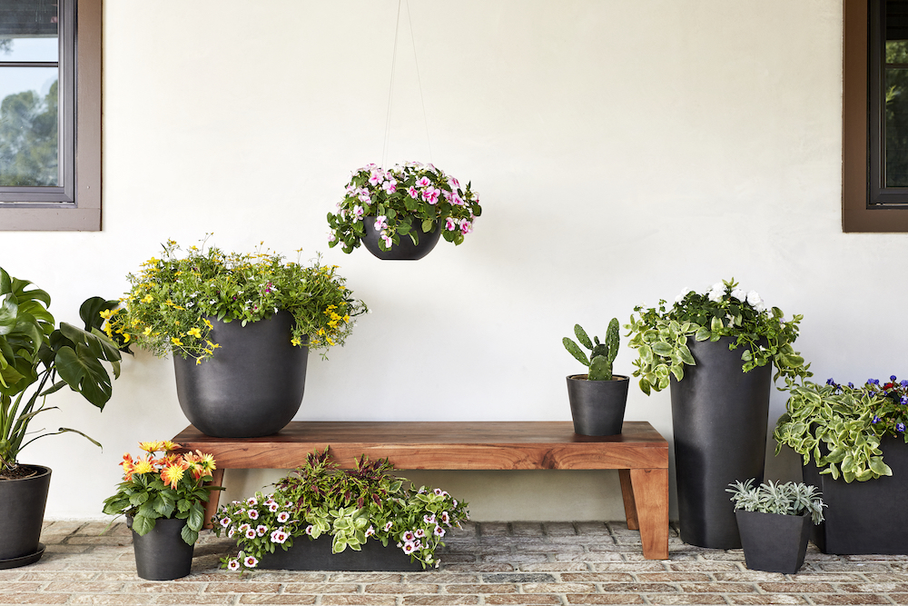 Bloomscape’s Justin Mast discusses how he developed a growing garden start-up in Detroit
