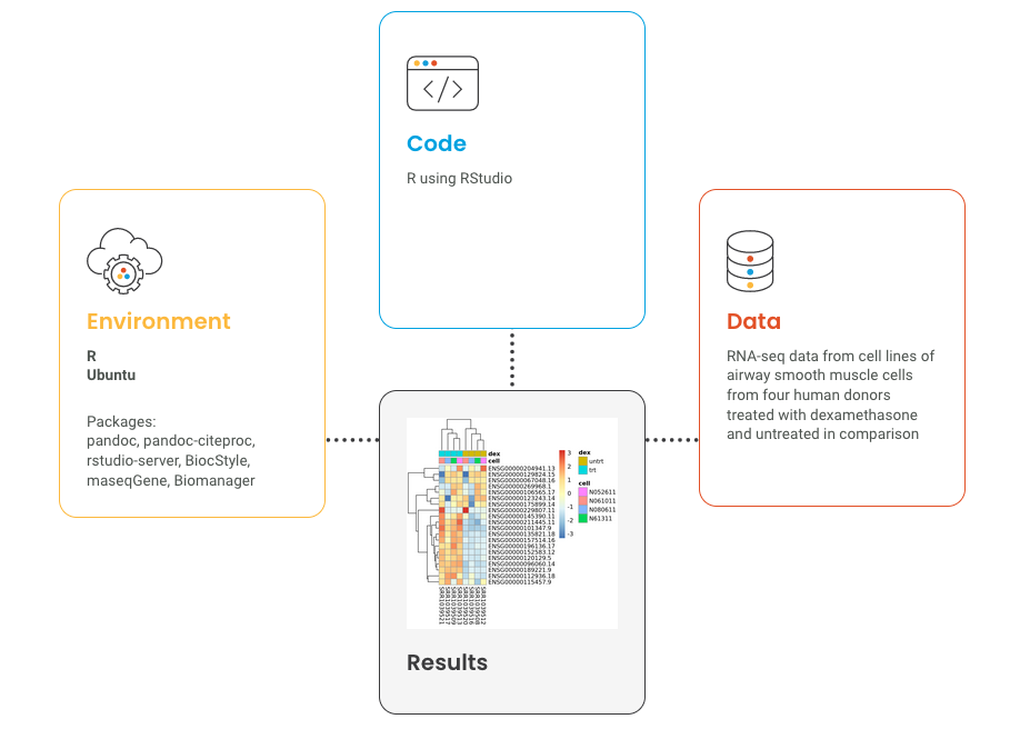 With $21M in financing, Code Ocean intends to assist scientists replicate data-heavy science